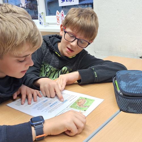 Bibliothek