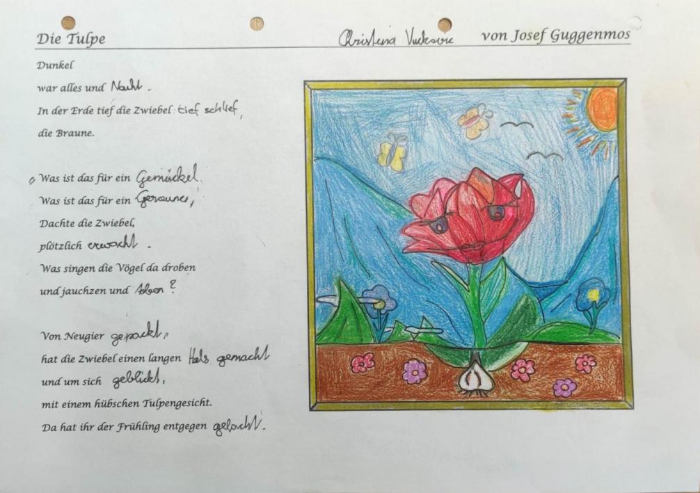 "Die Tulpe" von Christina Vuckovic