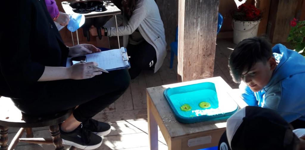 Bauernhof 7 Bauernhof 7