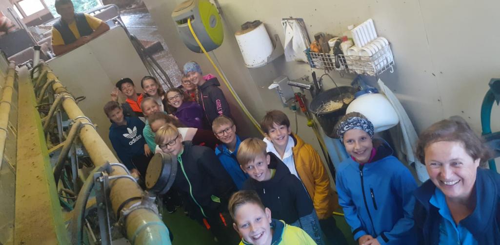 Bauernhof 9 Bauernhof 9